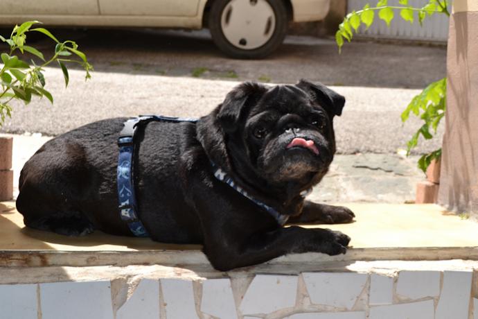 20120518_6a.jpg