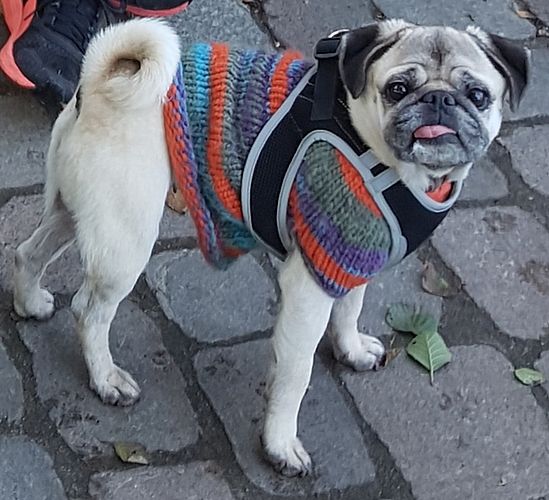 20191008_131021.jpg