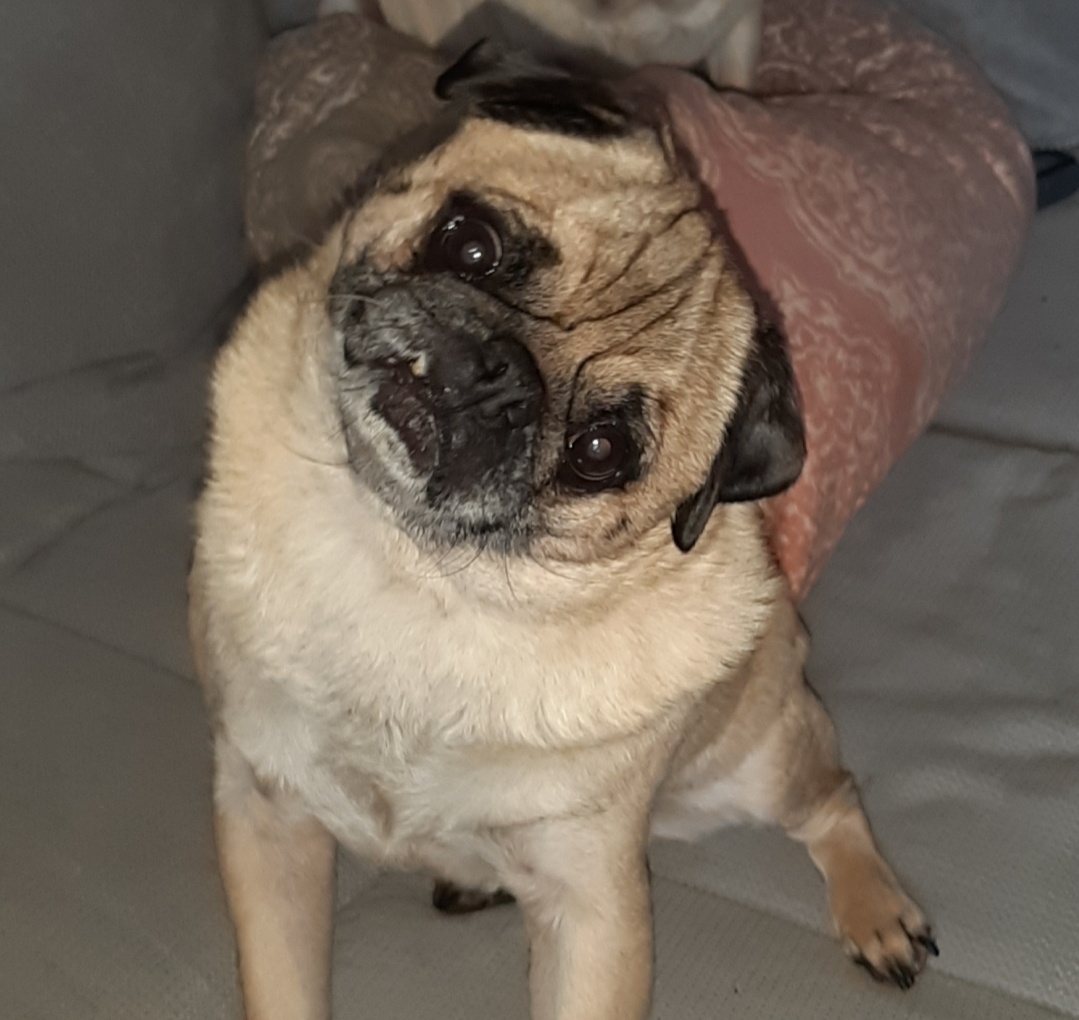 20191030_204814-01.jpeg