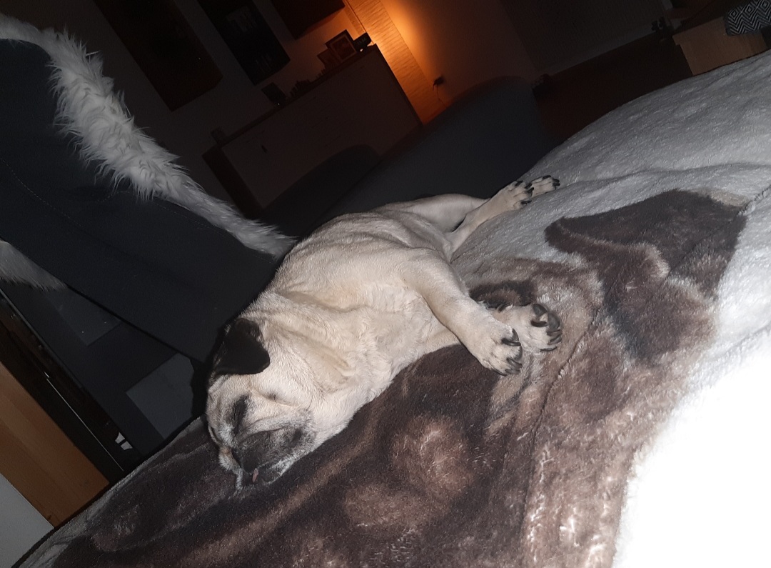 20200821_105714.jpg