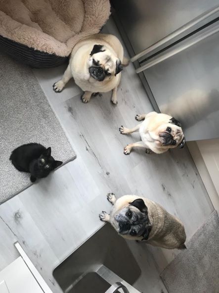 Ami.Familie.mini.jpg