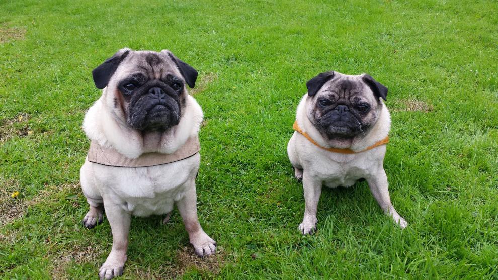Benny und Charlotte 1.jpg