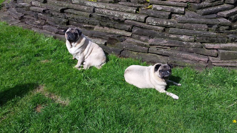 Benny und Charlotte 2.jpg