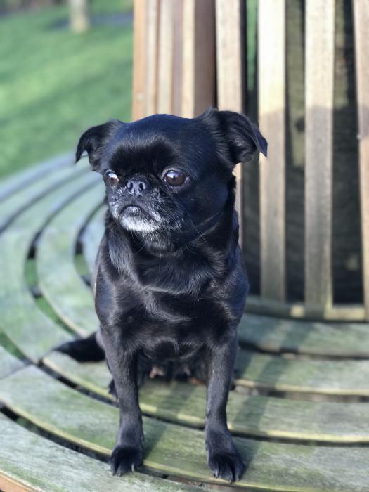 Betty2.jpg