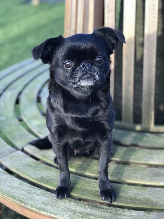 Betty3.jpg