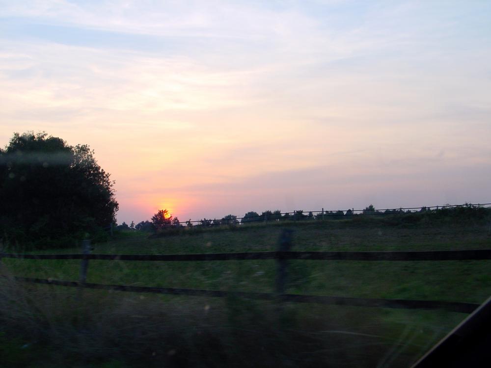 DSC03955.jpg