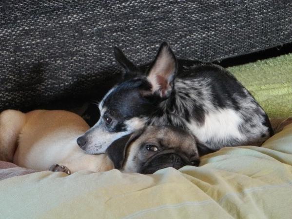 dscn5956ekzsb.jpg