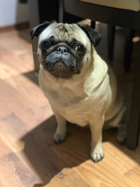 Emma