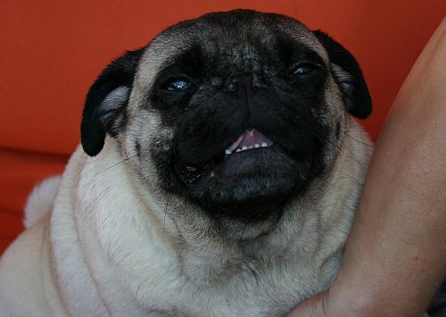 Lotta004.jpg