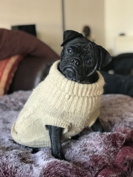 Mia_strickpulli.jpg