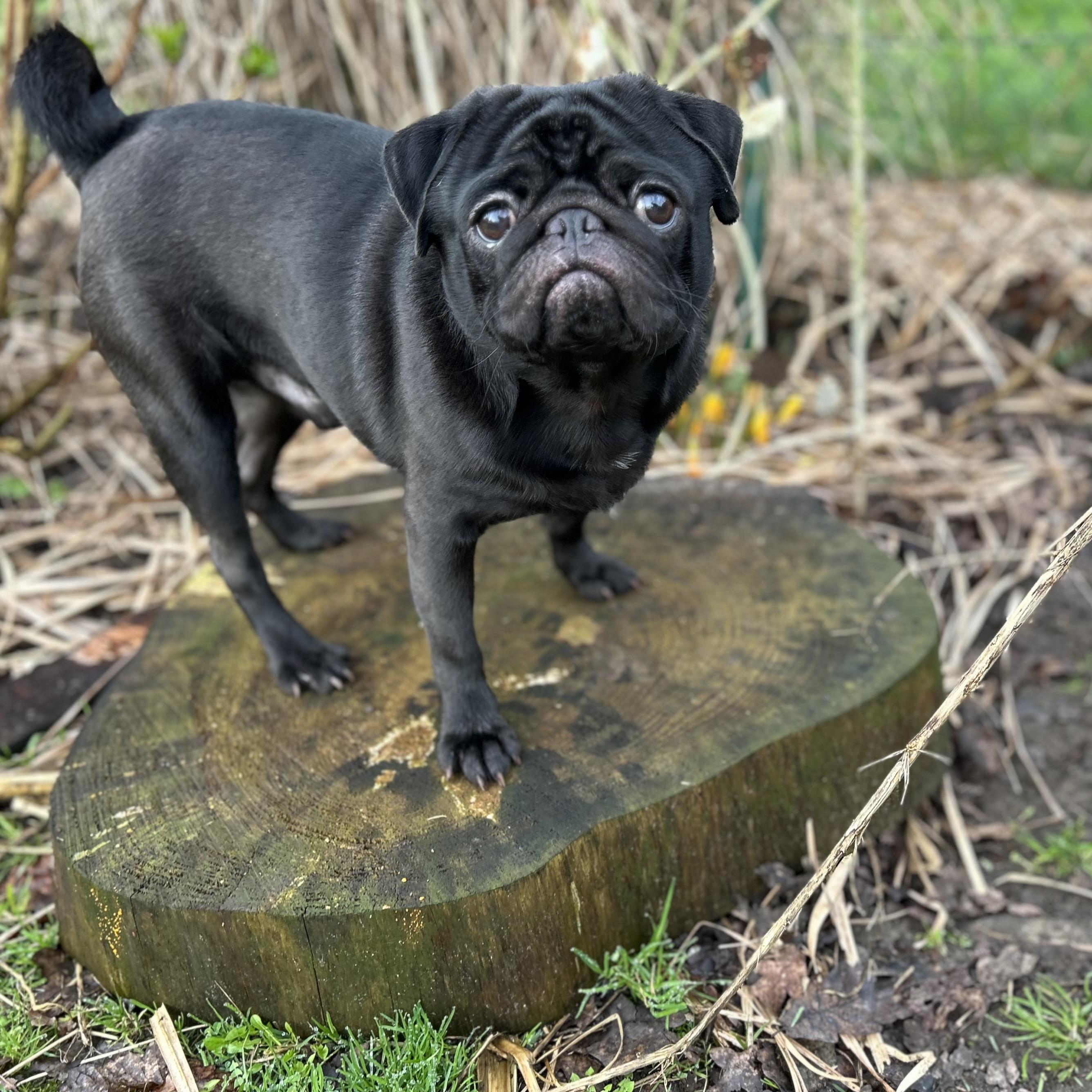 Milow2.jpg