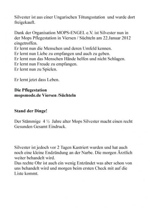Mops-Silvester2.jpg