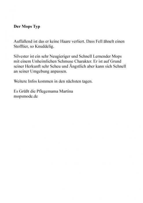 Mops-Silvester3.jpg