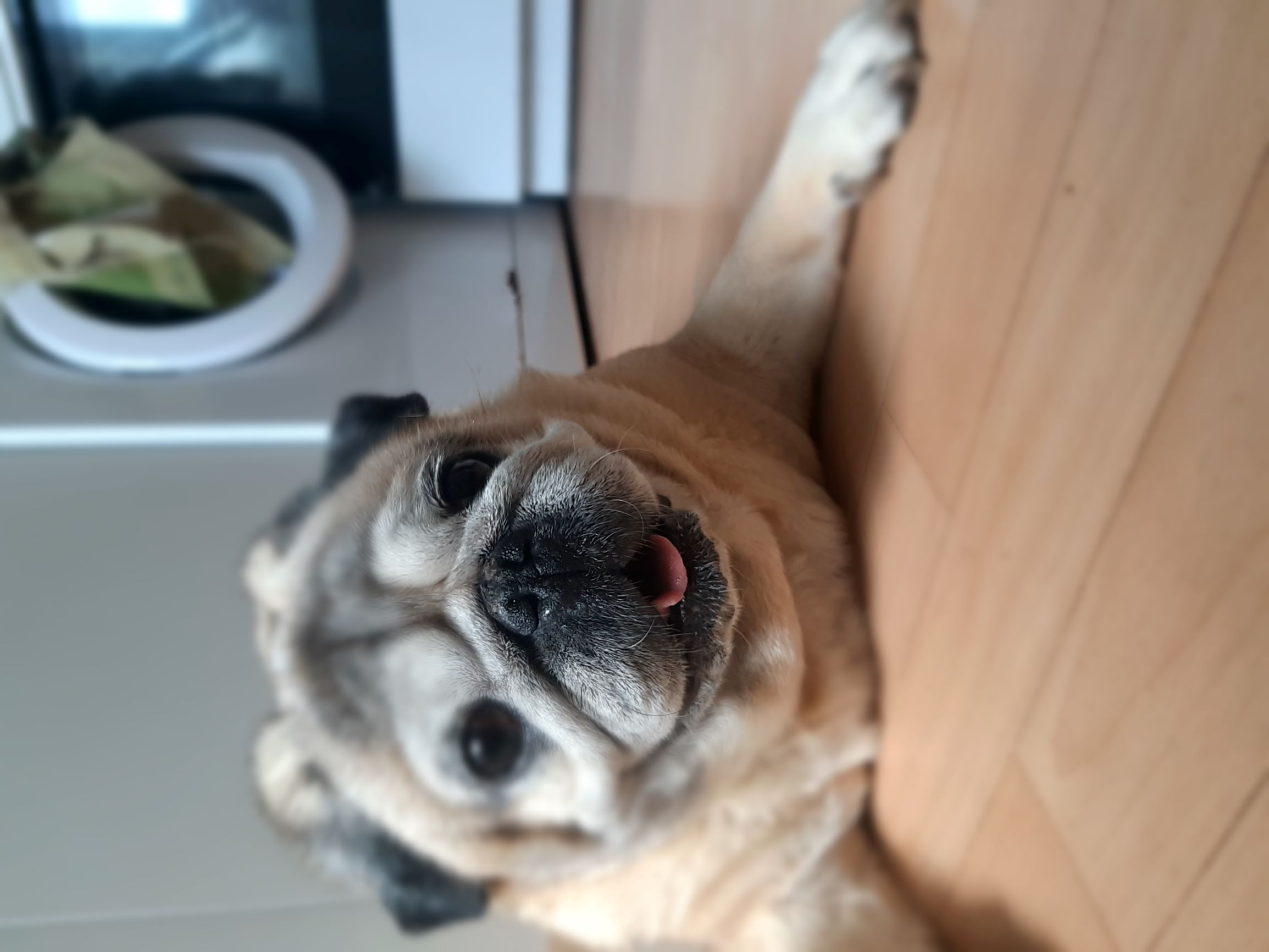 Schönen.Sonntag.jpg
