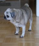 IMG_6205.jpg