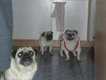 Weitere Fotos 031.jpg