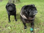 Molly+Oskar.jpg Molly+Oskar.jpg