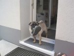 Balu Forum 4.jpg