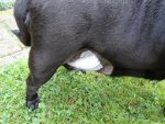 Leistenbruch-nachher.jpg