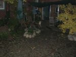 Suchbild mit Katze.jpg