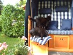 mai 2012 mit strandkorb 023.jpg