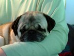 IMG_0145.jpg IMG_0145.jpg
