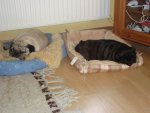 DSC07079.jpg