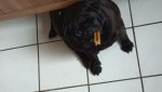 DSC07099.jpg