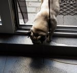 DSC01780_web.jpg