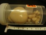 DSC07105.jpg