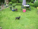 juni 2013 007.jpg
