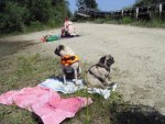 SDC10852.jpg