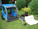 neues dog-car 001.jpg
