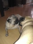 Linda und Bärbl.jpg