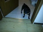 20130818_205914.jpg