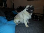 20130819_050822.jpg