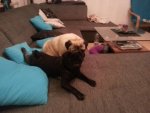 20130819_050850.jpg