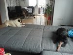 20130819_085603.jpg