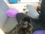 20130819_140420.jpg
