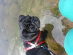 20130820_142540.jpg