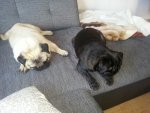 20130820_174121.jpg