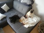 20130820_174444.jpg