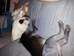 20130820_224223.jpg