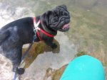 20130820_142549.jpg