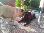 20130817_172541.jpg 20130817_172541.jpg