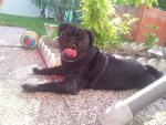 20130817_172613.jpg 20130817_172613.jpg