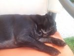 20130818_175047.jpg 20130818_175047.jpg