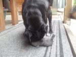 20130820_171838.jpg 20130820_171838.jpg