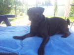 20130822_140858.jpg 20130822_140858.jpg