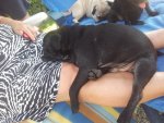20130822_142724.jpg 20130822_142724.jpg